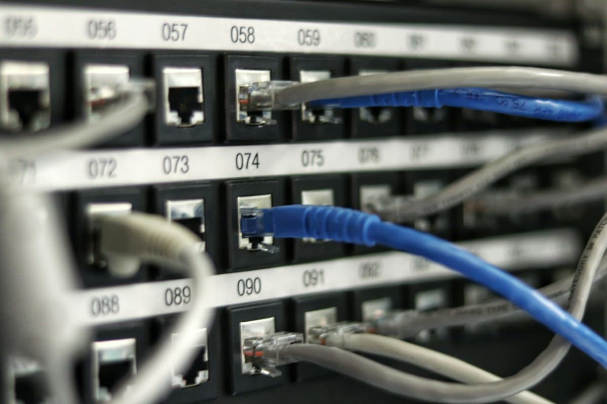 Basic Plan (Starter Hosting)